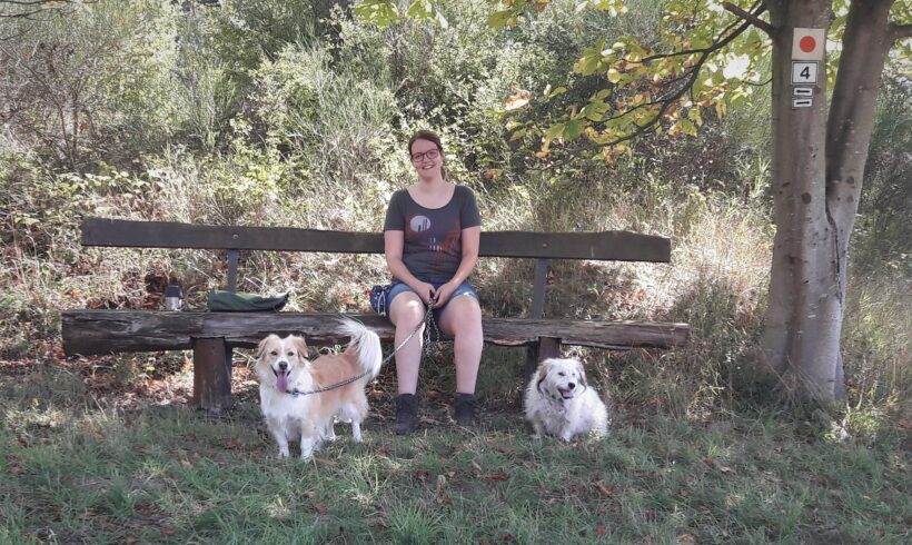 Lina Igelbüscher Ein Herz für Streuner